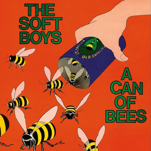 A Can of Bees cover