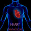 Heart Albumcover