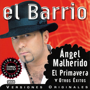 Selección de Grandes Exitos 2004 album