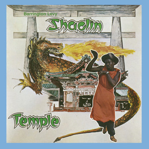 Shaolin Temple cover