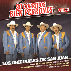 20 Corridos Bien Perrones (Vol.2) album