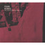 What Remains When Everything Goes Albumcover