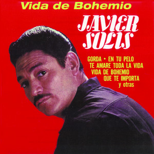 Vida de Bohemio cover