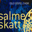 Salmeskatt cover