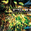 Reggae Reggae Reggae cover