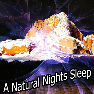 A Natural Nights Sleep album