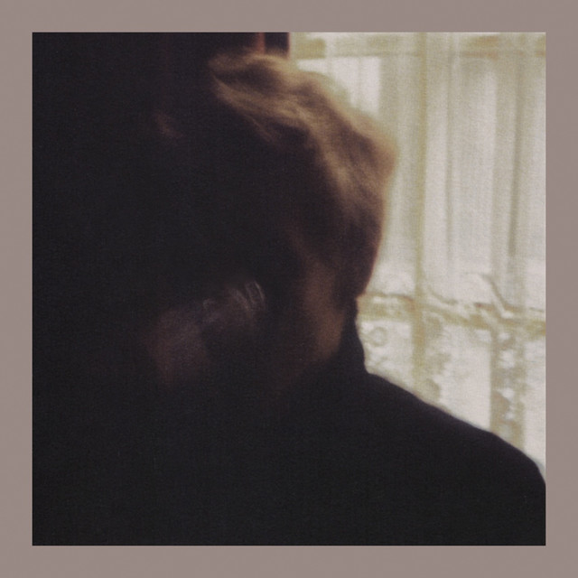 Days In The Wake cover