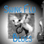 Swine Flu Blues - Single Albumcover