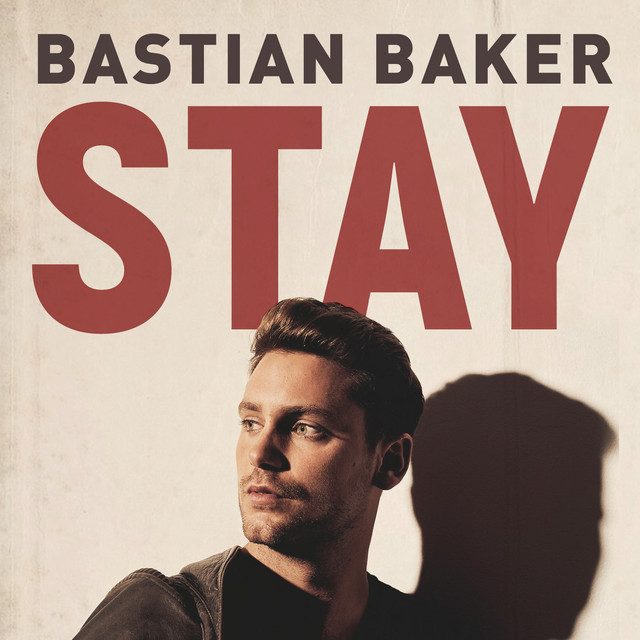 Stay cover