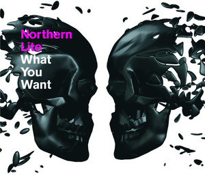 What You Want album