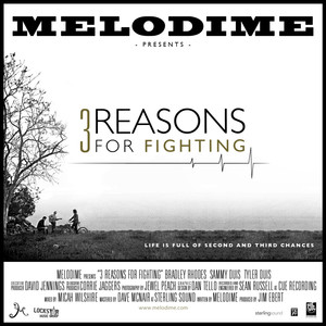3 Reasons for Fighting cover