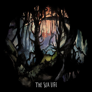 The Sea Life Photo