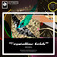 Crystalline Grids: Remixes Albumcover