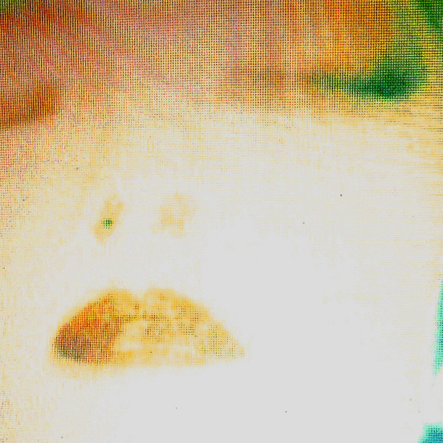 Broken Machine Films Photo