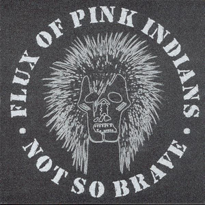 Not So Brave cover