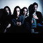 The Veils