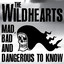 Mad, Bad and Dangerous to Know cover