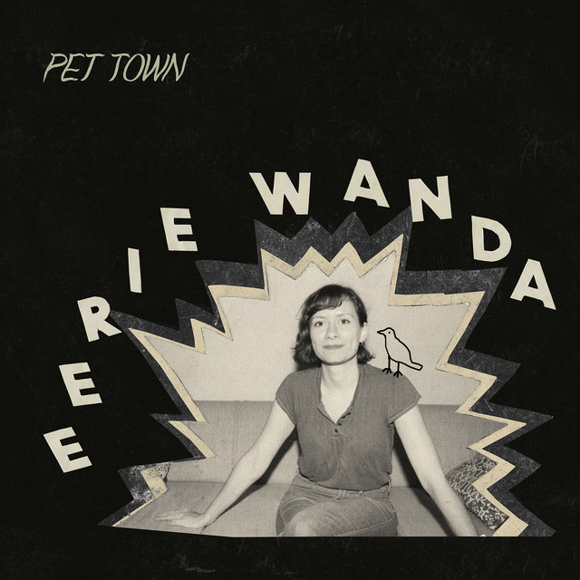 Pet Town cover