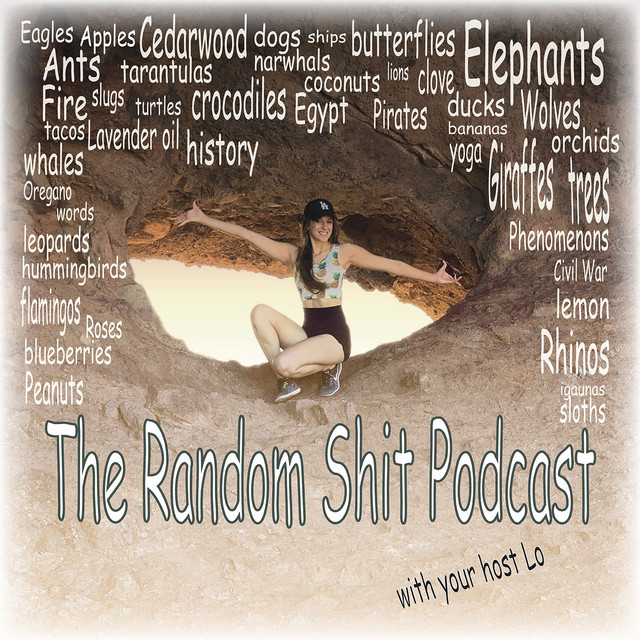 The Random Shit Podcast | Podcast on Spotify