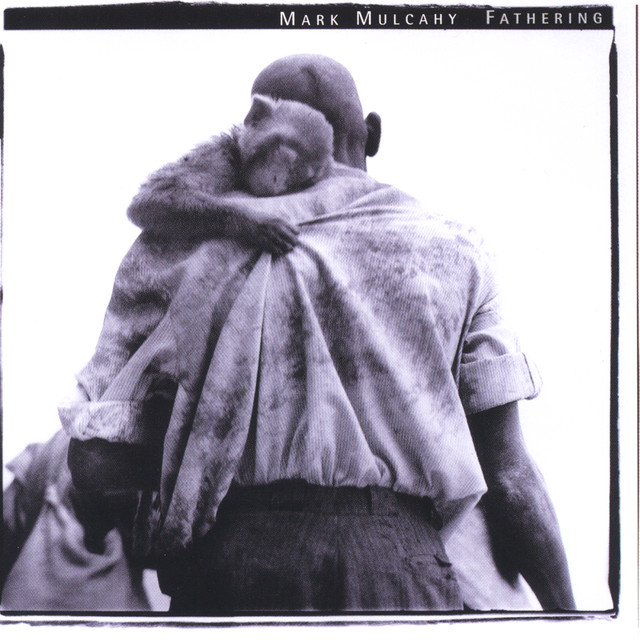 Fathering cover