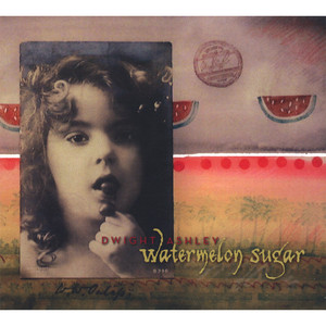 Watermelon Sugar cover