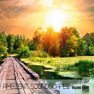Ambient SoundScapes, Vol. 8 cover
