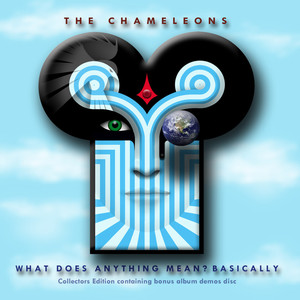 What Does Anything Mean? Basically (2009 Remaster) album
