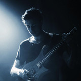 Plini