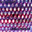 Labia Minor Albumcover