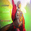Amoroso Presents Top Charts Albumcover
