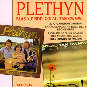Y gwylliaid cover