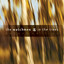 In The Trees (Deluxe) cover