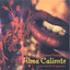 Alma Caliente Albumcover