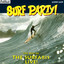 Surf Party: Best Of The Surfaris - Live! cover