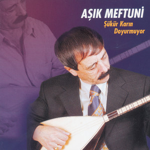Asik Meftuni