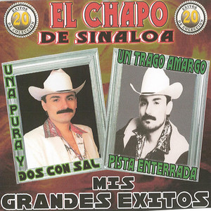 20 Exitos de Coleccion: Mis Grandes Exitos album