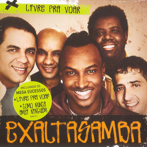 Livre Pra Voar cover