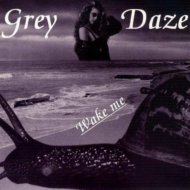 Wake Me cover