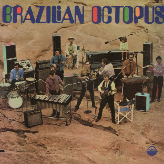 Brazilian Octopus Photo