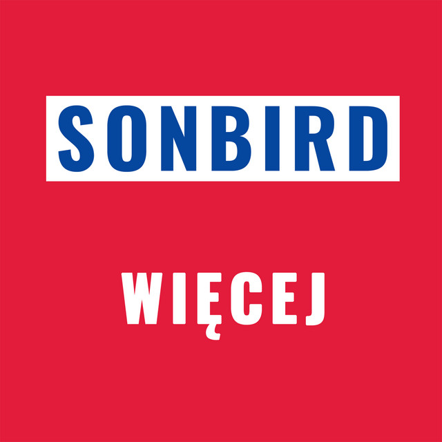 Więcej cover