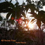 All Seems True Albumcover