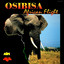 African Flight cover