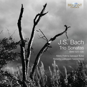 J.S. Bach: Trio Sonatas, BWV 525-530 album