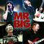 Back To Budokan cover