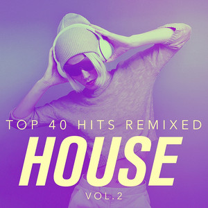 Top 40 Hits Remixed, Vol. 2 House album