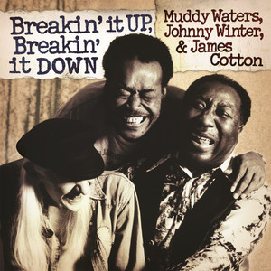 Breakin' It Up, Breakin' It Down album