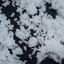 nacl Albumcover