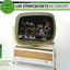 Los Straitjackets in Concert cover