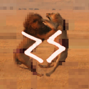 A N G E L S + A N I M A L S album