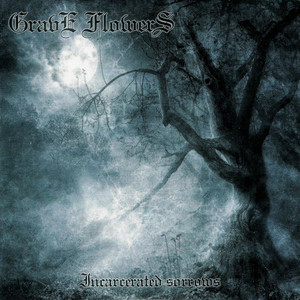 At Night cover